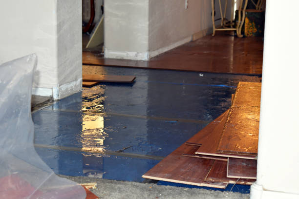 Professional Basement Flood Cleanup technician working in Danville, OH